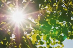 ̫���ɼ���61999(�й�)�����޹�˾�Ƽ�