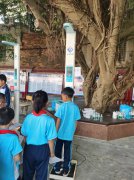 ̫���ɼ���61999(�й�)�����޹�˾�Ƽ�