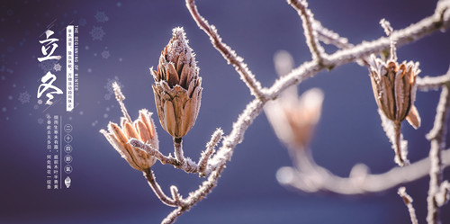 ̫���ɼ���61999����