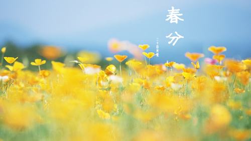 ̫���ɼ���61999(�й�)�����޹�˾�Ƽ�