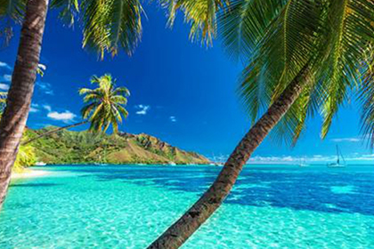 ̫���ɼ���61999(�й�)�����޹�˾�Ƽ�