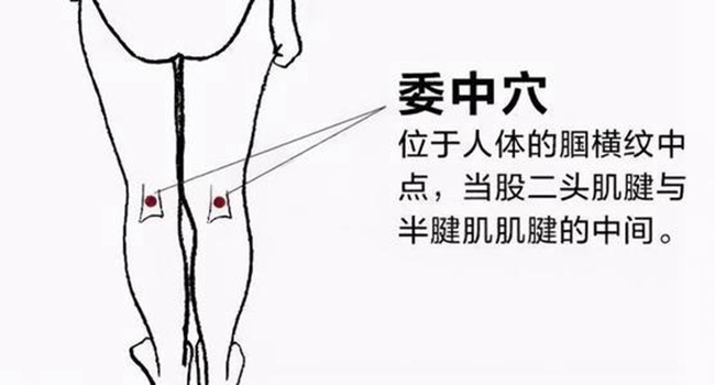 ̫���ɼ���61999(�й�)�����޹�˾�Ƽ�