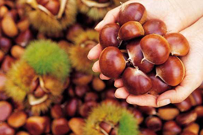 ̫���ɼ���61999(�й�)�����޹�˾�Ƽ�