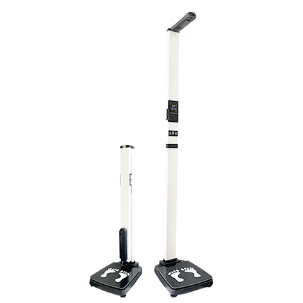 ��������֬����